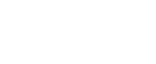 Aladdin Shawarma